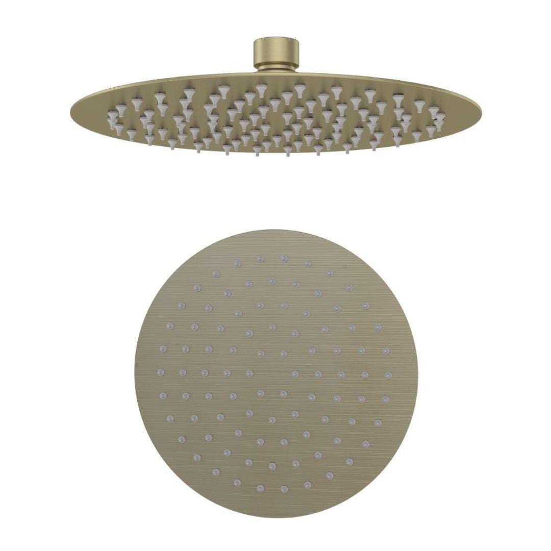 Aquarius Fixed Shower Head Brushed Brass Aquarius Modern Round Over Head Shower Head