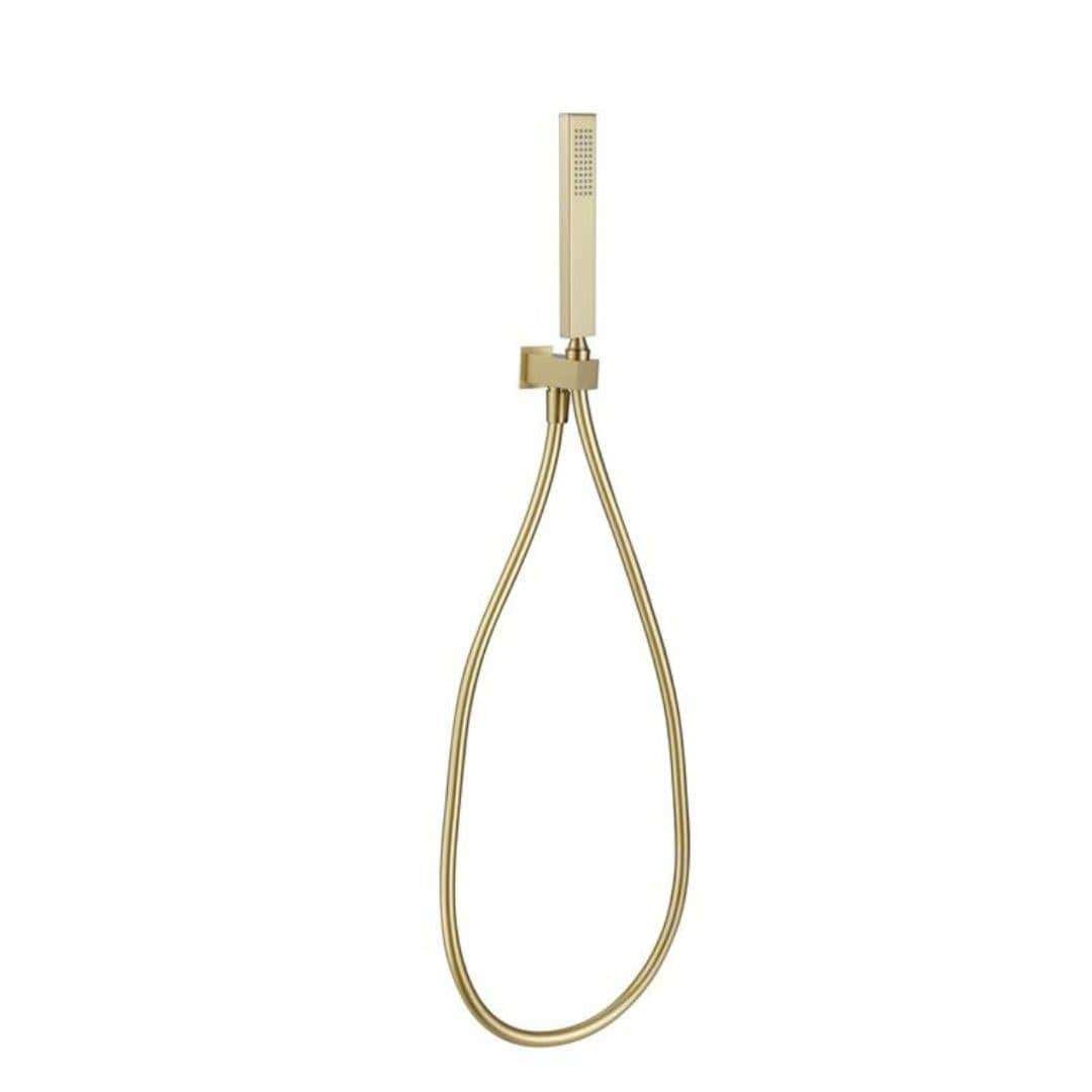 Aquarius Shower Handset Brushed Brass Aquarius RainLux Integrated Outlet Square Handheld Shower Kit