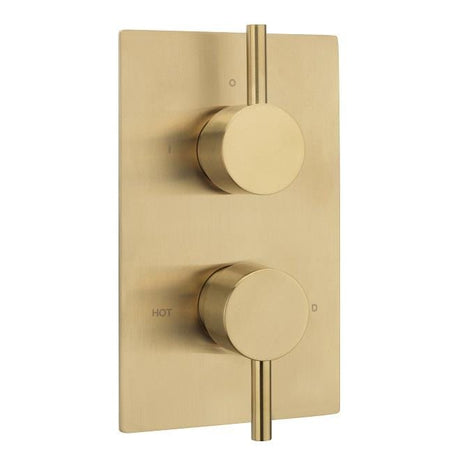 Sagittarius Concealed Shower Valve Brushed Brass Sagittarius Ergo Lever 1 Outlet, 2 Handles Concealed Thermostatic Shower Valve
