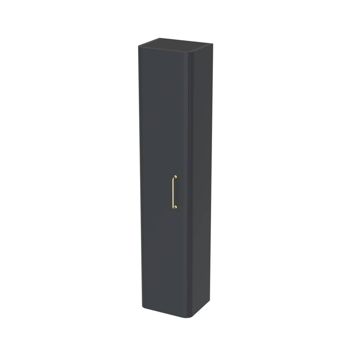 Saneux Storage Unit Matte Anthracite Saneux Hyde Tall Wall Mounted Storage Unit with Reversible Door