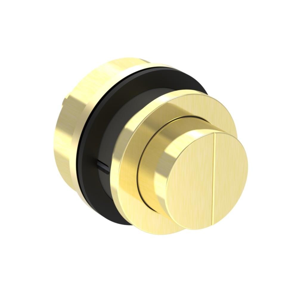 Saneux Flush Plate Brushed Brass (PVD) Saneux FLUSHE 2.0 Brass Flush Button