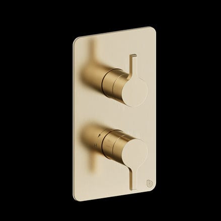 Britton Concealed Shower Valve Brushed Brass Britton Hoxton 2.0 1 Outlet, 2 Handle Concealed Thermostatic Shower Valve