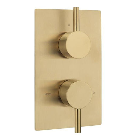 Sagittarius Concealed Shower Valve Brushed Brass Sagittarius Ergo Lever 2 Outlet, 2 Handle Concealed Thermostatic Shower Valve