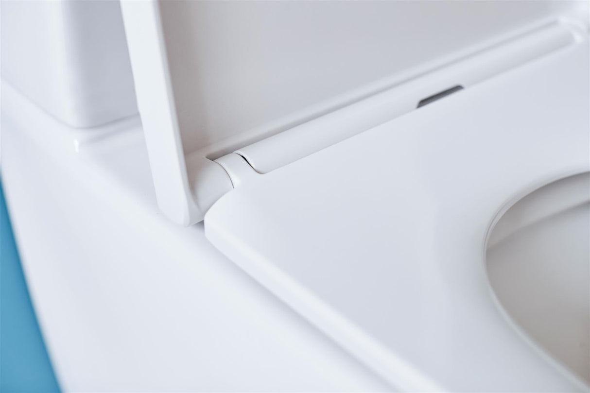 Britton Close Coupled Toilet Britton Sphere Close Coupled Rimless Toilet with Soft Close Seat