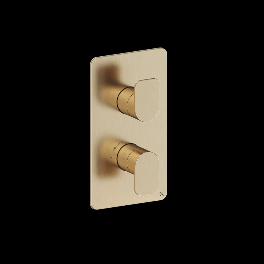 Crosswater Concealed Shower Valve Brushed Brass Crosswater Fuse 1 Outlet, 2 Handle Vertical Concealed Shower Valve