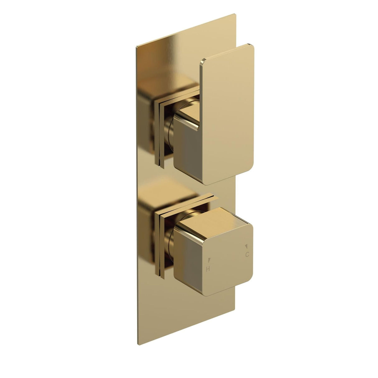 Aquarius Bathrooms Concealed Shower Valve Brushed Brass Aquarius Tetra 2-Outlet Thermostatic Concealed Valve with Diverter