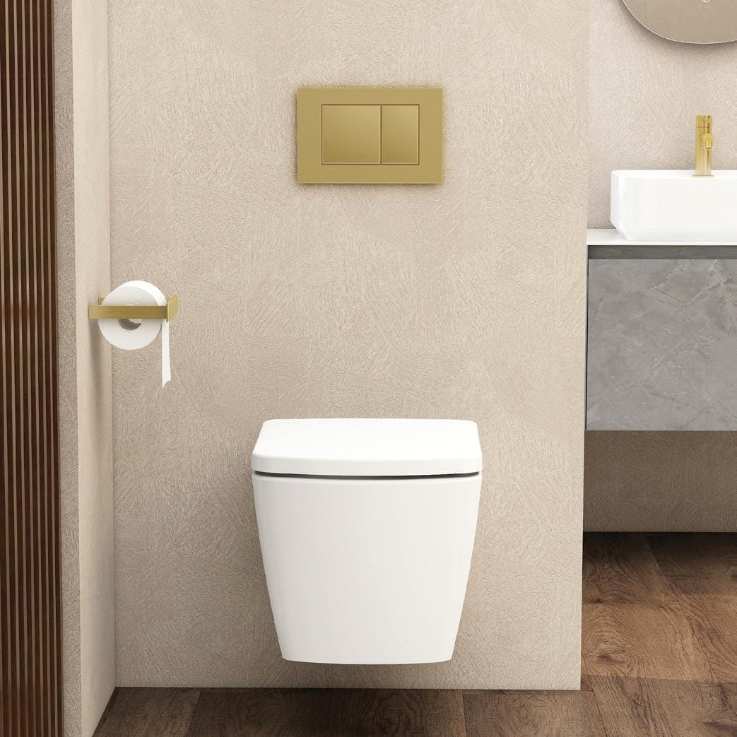 Imex Wall Hung Toilet Imex Ravine Rimless Wall Hung Toilet with Soft Close Seat in White
