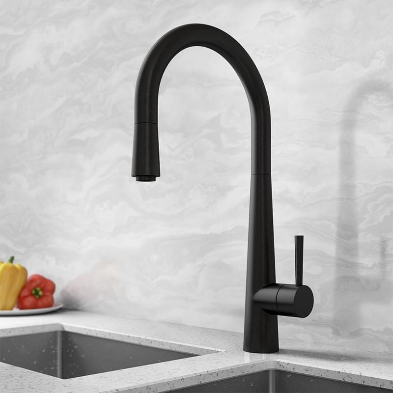 Aquarius Kitchen Tap Black Aquarius TrueCook - Series 9 - Pullout Single Lever Kitchen Mixer Tap