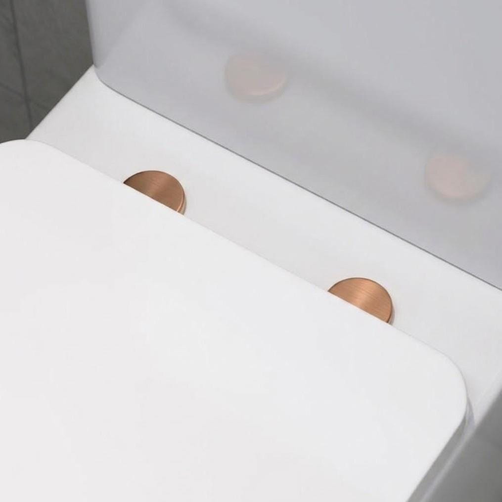 Aquarius Bathrooms Wall Hung Toilet Aquarius Urbano Rimless Wall Hung Toilet Pack with Frame, Flush Plate, Soft Closing Seat and Hinge Covers
