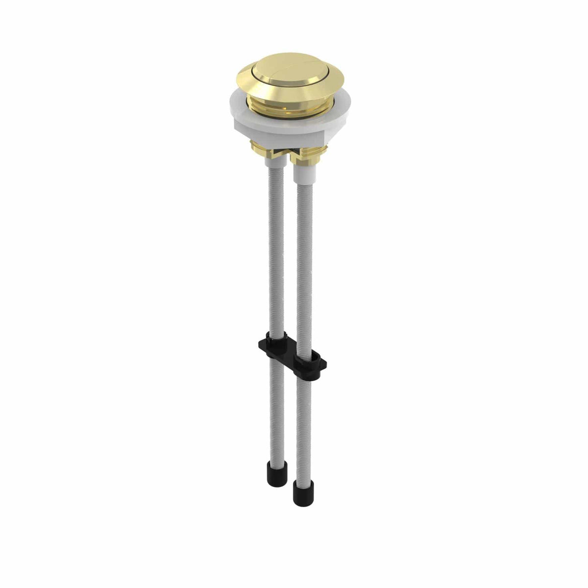 Saneux Flush Plate Brushed Brass Saneux Close Coupled Flush Button - 2 Rods