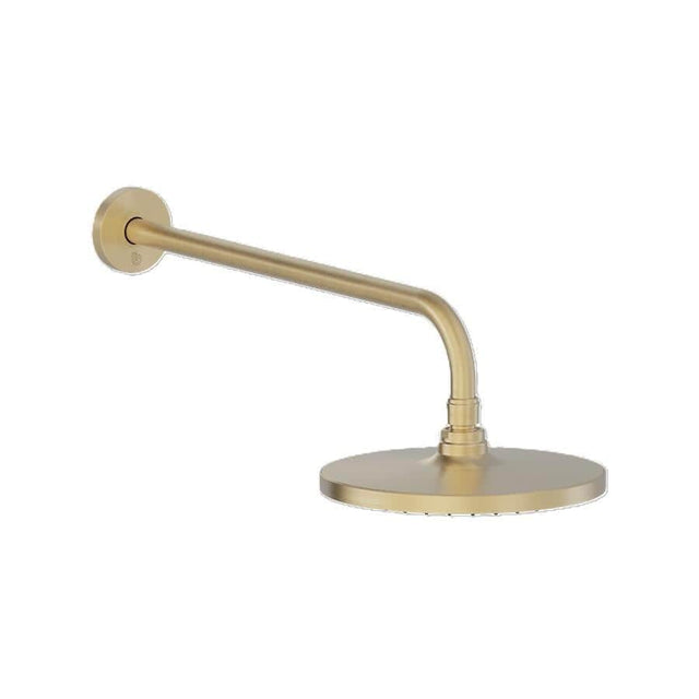 Britton Fixed Shower Head Brushed Brass Britton Hoxton 2.0 290mm Rainfall Shower Head and Arm