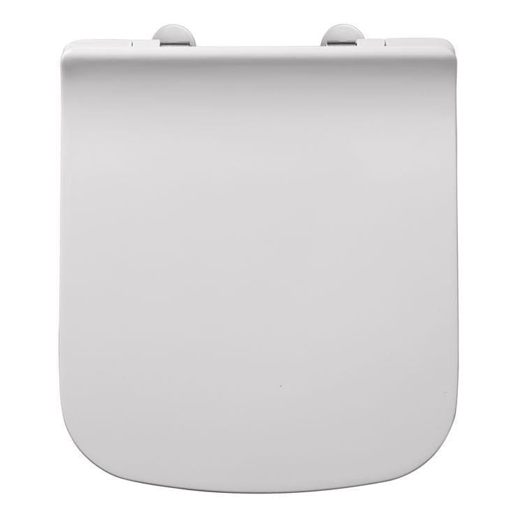 Aquarius Back To Wall Toilet Aquarius Sequoia Back To Wall Rimless Toilet with Slimline Soft Close Seat