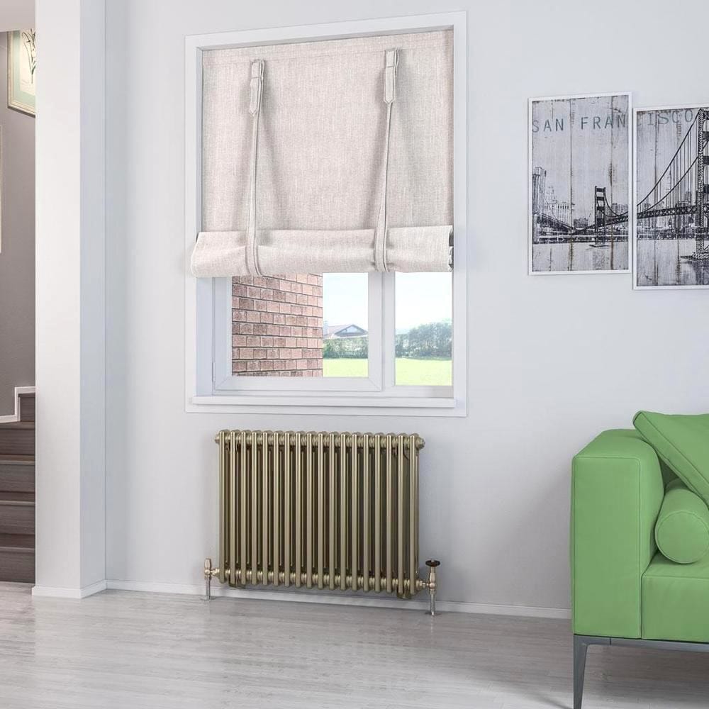 Eastbrook Column Radiator 600 x 833 / Electric Only Eastbrook Rivassa Traditional 2 Column Radiator in Bronze Effect