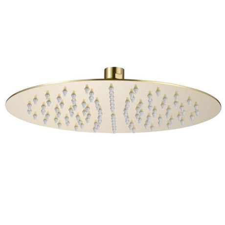 Aquarius Fixed Shower Head Brushed Brass Aquarius RainLux Round Slim Shower Head