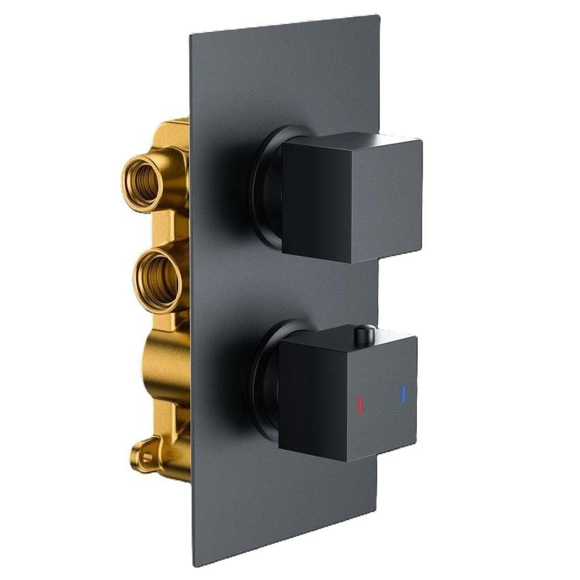 Aquarius Bathrooms Concealed Shower Valve Matt Black Aquarius RainLux Square 2 Outlet Concealed Shower Valve