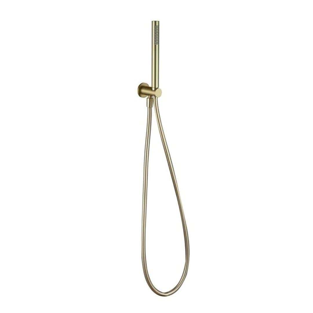 Aquarius Shower Handset Brushed Brass Aquarius RainLux Integrated Outlet Round Handheld Shower Kit