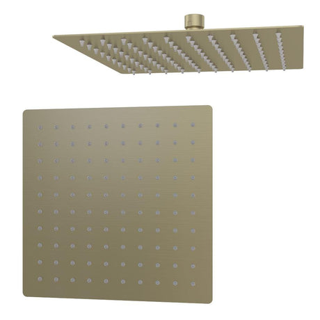 Aquarius Fixed Shower Head Brushed Brass Aquarius Modern Square Over Head Shower Head