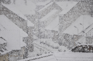 Order Early – December’s Shorter Than You Think