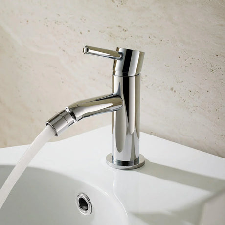 Chrome Bidet Taps