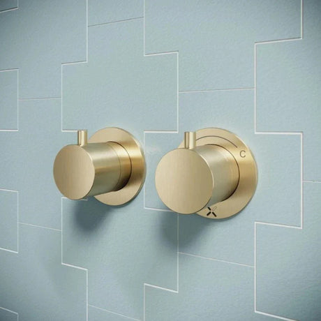 Crosswater MPRO Module 2 Outlet, 2 Handle Concealed Thermostatic Shower Valve