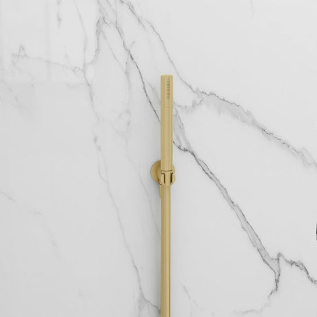 Brushed Brass Shower Accessories