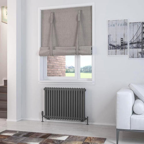 Eastbrook Rivassa Traditional 2 Column Radiator in Matt Anthracite