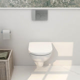 Aquarius Wall Hung Toilet Aquarius Ricardo Rimless Wall Hung Toilet with Soft Close Seat