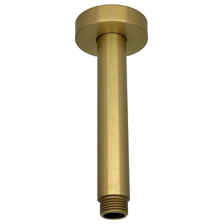 TED Fixed Shower Arm Brushed Brass TED Universal Shower Ceiling Arm