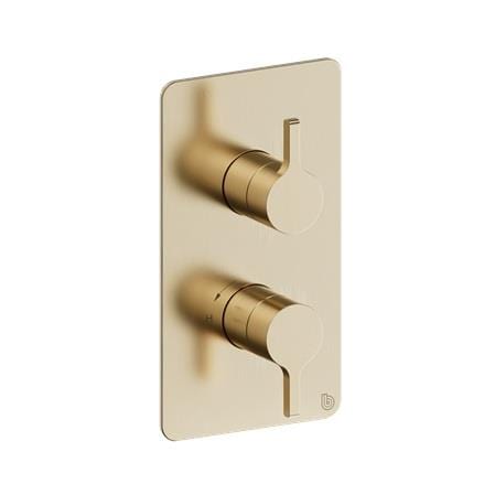 Britton Concealed Shower Valve Brushed Brass Britton Hoxton 2.0 2 Outlet, 2 Handle Concealed Thermostatic Shower Valve