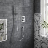 Villeroy & Boch Shower Hose Chrome / 1200 Villeroy & Boch Universal Shower Hose