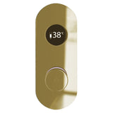 TED Concealed Shower Valve Brushed Brass TED Togo 2/3 Outlet Concealed Digital Shower Valve with Oval Plate