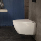 Roca Toilet Seat Roca Ona Soft Close, Quick Release Supralit Toilet Seat