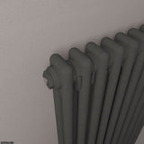 Eastbrook Column Radiator Eastbrook Rivassa Traditional 2 Column Radiator in Matt Anthracite