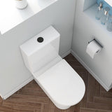 Imex Flush Button Imex Flush Button for Close Coupled Cisterns