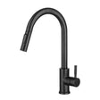Aqaurius Kitchen Tap Matt Black Aquarius TrueCook Series 93 Single Lever Pull Out Kitchen Mixer Tap