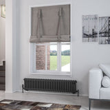 Eastbrook Column Radiator 300 x 1373 / Central Heating Eastbrook Rivassa Traditional 2 Column Radiator in Matt Anthracite