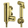 Aquarius Douche Brushed Brass Aquarius FT Shattaf Douche Kit with Thermostatic Mini Valve