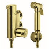Aquarius Douche Brushed Brass Aquarius FT Shattaf Douche Kit with Thermostatic Mini Valve