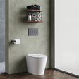 Aquarius Bathrooms Back To Wall Toilet Aquarius Metric Rimless Back to Wall Toilet with Soft Close Seat