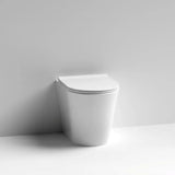 Aquarius Bathrooms Back To Wall Toilet Aquarius Metric Rimless Back to Wall Toilet with Soft Close Seat