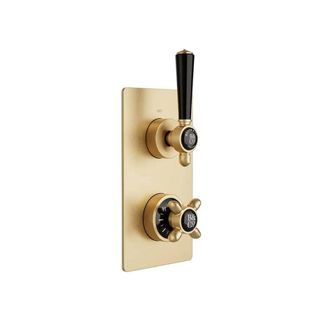 Booth & Co. Axbridge 1 Outlet, 2 Handle Concealed Thermostatic Shower Valve