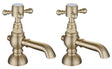 Aqaurius Pillar Bath Tap Brushed Brass Aquarius Chic Bath Pillar Taps (Pair)