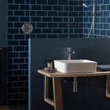 VADO Mono Basin Tap Vado Zoo Tall Mono Basin Mixer Tap in Chrome