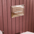 Burlington Flush Plate Chrome Burlington Traditional Flush Plate