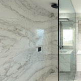 TED Concealed Shower Valve TED Cuba Single Outlet Digital Shower Valve System in Black