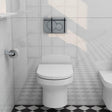 Imex Wall Hung Toilet Imex Alma Rimless Wall Hung Toilet with Soft Close Seat