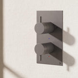 Crosswater Concealed Shower Valve Slate Crosswater MPRO 2 Outlet, 2 Handle Portrait Concealed Thermostatic Shower Valve (Shower/Handset)