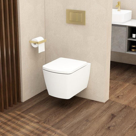 Aquarius Wall Hung Toilet Aquarius JF-Series Wall Hung Toilet with Soft Close Seat