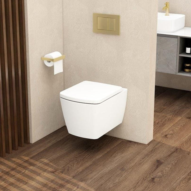 Aquarius Wall Hung Toilet Aquarius JF-Series Wall Hung Toilet with Soft Close Seat