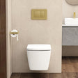 Aquarius Wall Hung Toilet White Aquarius JF-Series Wall Hung Toilet with Soft Close Seat